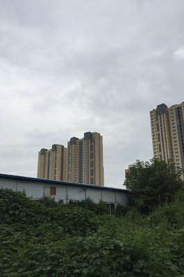 查看九州方圓國際靠譜人氣經紀人!